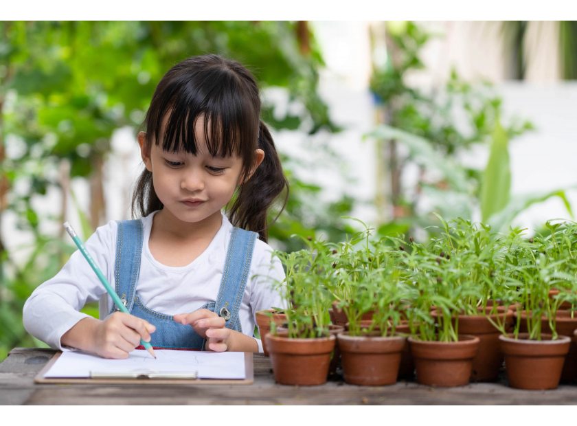 Here is Why You Should Choose Paper Pencils over Wooden Pencils