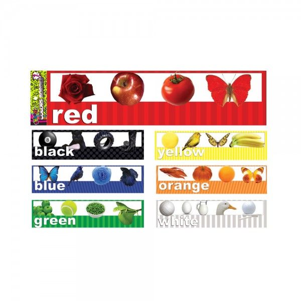 Skoodle Colour Border - 7 Count